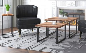 Coffee Nesting Table Set with Iron Leg – Natural & Black