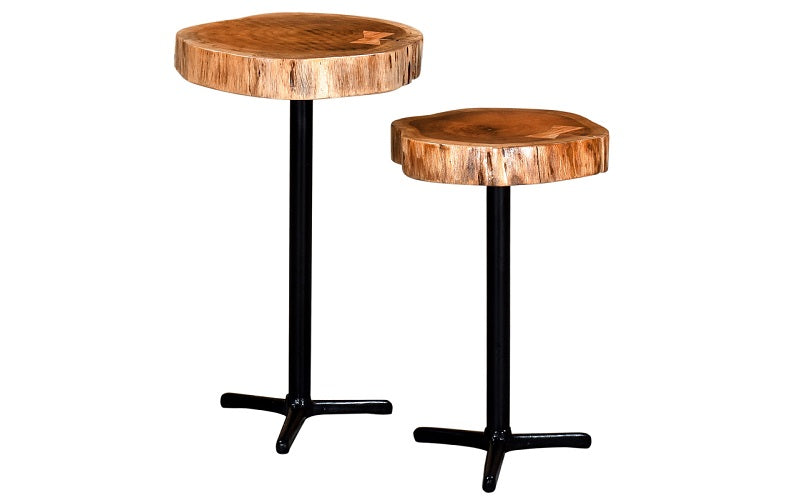 End Table with Solid Wood - Natural & Black